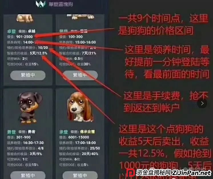 “巢音世代”抢单互助资金盘骗局，操盘手圈钱过亿，即将崩盘跑路。(6)