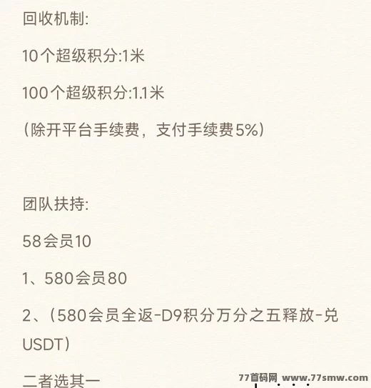 新项目爆火！私域流量轻松变现，团队扶持置顶每日赚10圆攻略！(2)