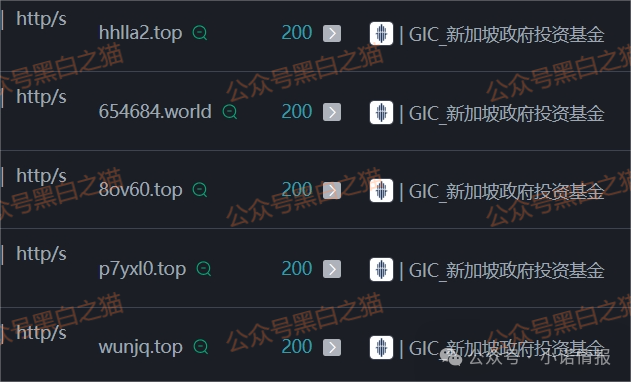 假冒新加坡政府“GIC”基金，欺诈国内人参与虚拟币投资，请远离避免被洗劫一空......(5)