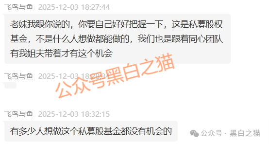 资金盘｜电诈团伙伪冒“TCV资本”，通过话术精准诱惑孤单女性投资，被围猎者还飘飘欲仙......(4)