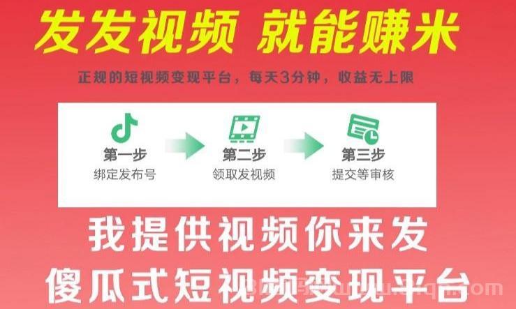 一键代发与评论，一部手机轻松发发视频赚(3)