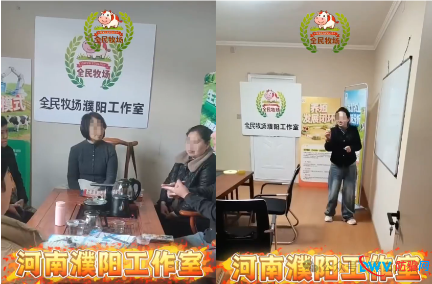 揭露“全民牧场”真实意图，皆为盘总的新项目……(10)
