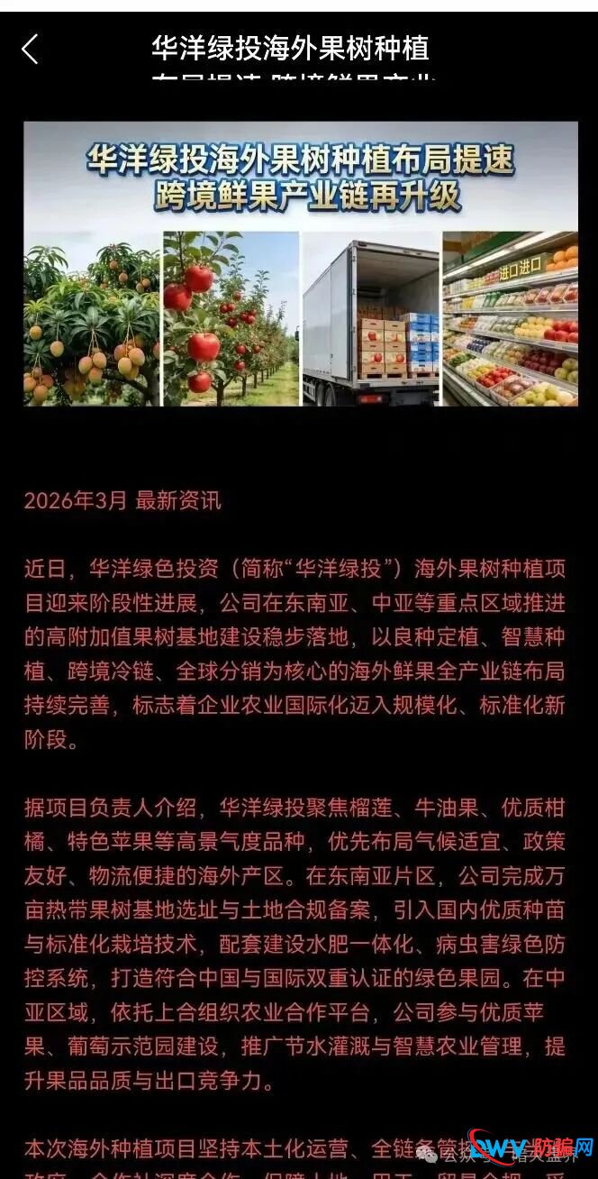 别再上当！“华洋绿投”海外种果树全是假的：高额日息、虚构品种、盗图包装，随时跑路(5)