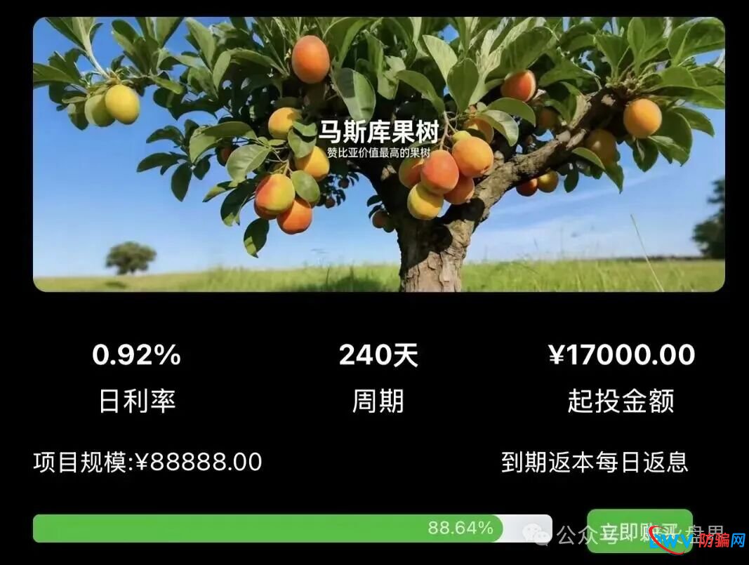 别再上当！“华洋绿投”海外种果树全是假的：高额日息、虚构品种、盗图包装，随时跑路(3)