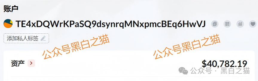 套牌“荣晖资本”骗局全揭露：虚构项目、篡改资质，USDT充值即被收割(11)