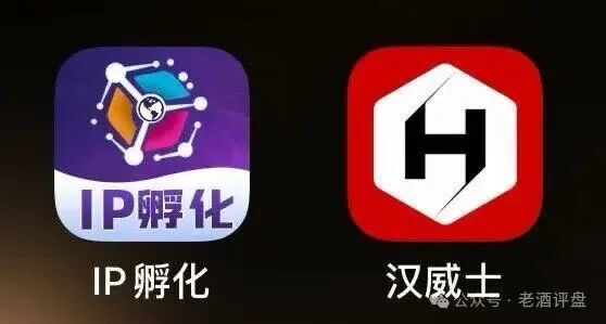 官网域名注册才8个月、服务器在境外、资金流向不明——所谓HAVAS汉威士IP孵化